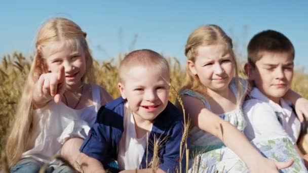 jongen met down syndroom en gezonde kinderen tonen vingers aan de camera en glimlachende, vrolijke vrienden zitten in tarweveld tegen de achtergrond van een mooie blauwe hemel - Video