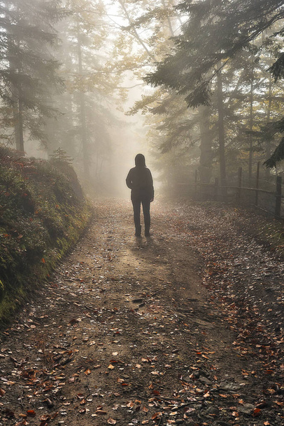 Kobieta w lesie. turysta spacerujący we mglistym lesie jesiennym - Zdjęcie, obraz