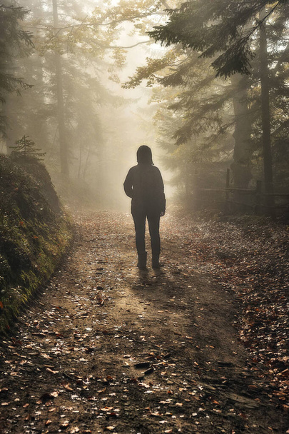 vrouw in het bos. toeristische wandeling in het mistige herfstbos - Foto, afbeelding