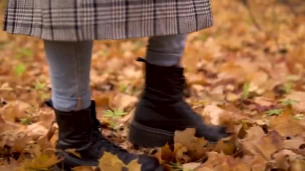 Una mujer camina por las hojas amarillas caídas en el bosque de otoño. Las piernas cierran. Movimiento lento - Imágenes, Vídeo