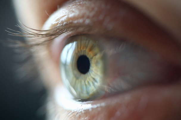 Olho humano com pestanas na luz closeup - Foto, Imagem