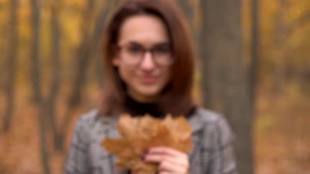 Gözlüklü genç bir kadın sonbahar ormanında büyük bir yaprak ağacının arkasına saklanır. Kız kameraya yaprak uzatıyor. Yavaş çekim - Video, Çekim