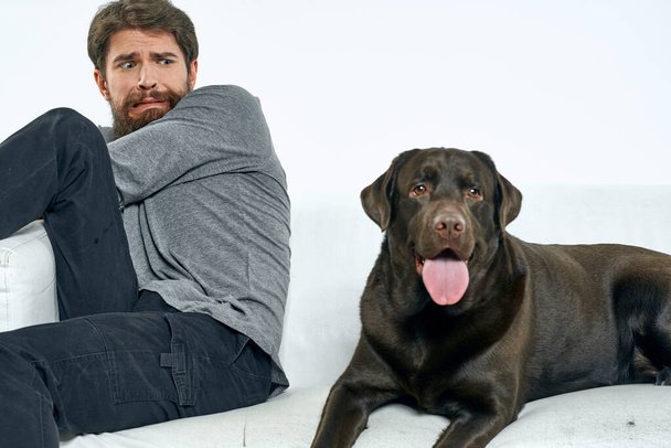 Happy man and dog on the couch In a bright room pet is a friend of man - Foto, Bild