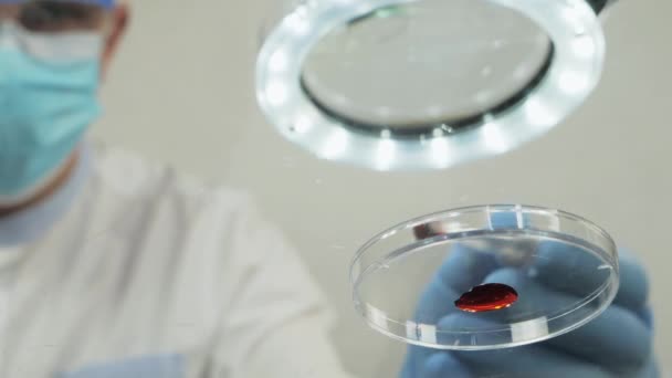 Examen d'échantillons de sang dans un laboratoire - Séquence, vidéo