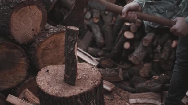 Couper le bois de chauffage sur la scierie - Séquence, vidéo