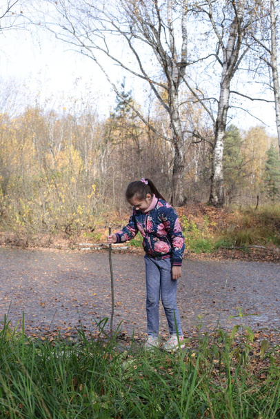 Mädchen beim Herbstspaziergang im Wald - Foto, Bild
