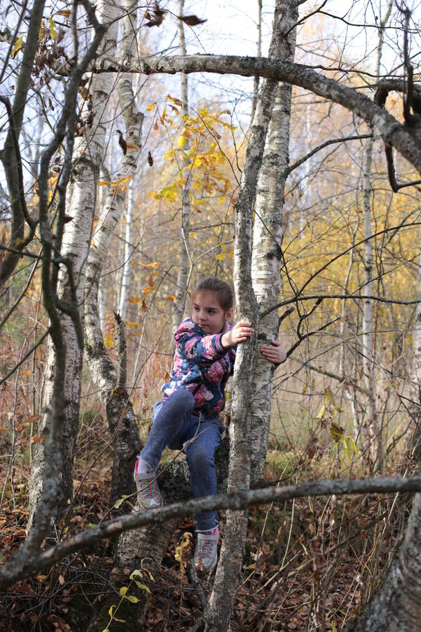 Ormanda sonbahar yürüyüşü yapan bir kız. - Fotoğraf, Görsel