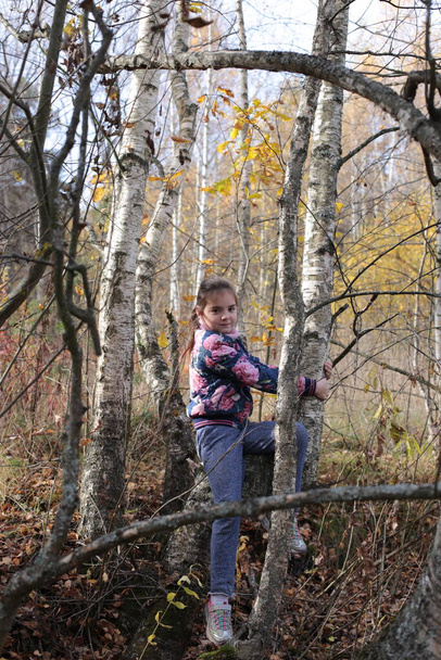 Chica en un paseo de otoño en el bosque - Foto, Imagen
