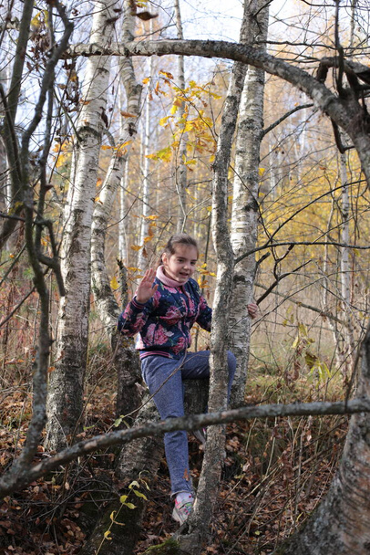 Lány az őszi sétán az erdőben - Fotó, kép