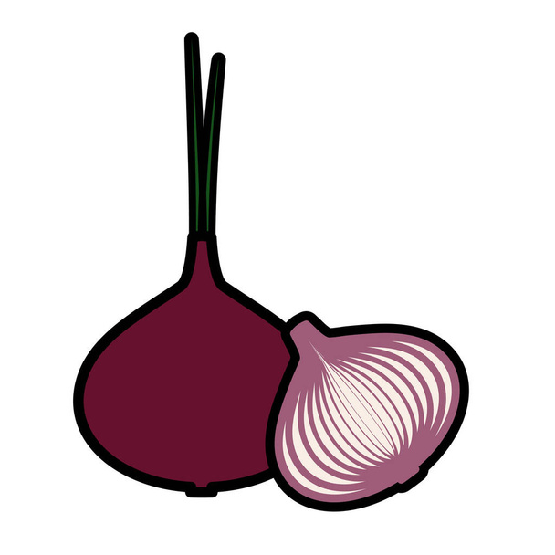 Onions vector outline illustration in minimalistic style on white background - Vector, Image