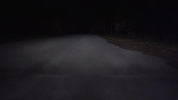 Video van een bewegende auto op de snelweg in het donker, vooraanzicht - Video