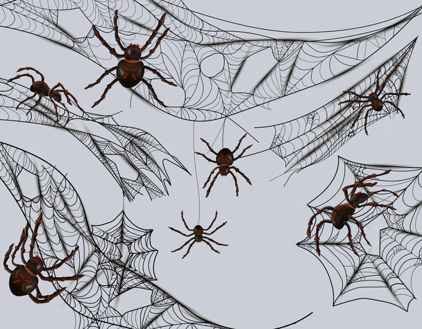 Pókháló gyűjtése rovarok fogására. A pókháló és a pókok szürke alapon vannak elkülönítve. Bonyolult pókháló, halloween koncepció. 3d vektor illusztráció - Vektor, kép