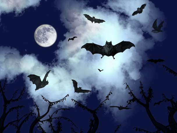 Lepakot lentävät pimeällä taivaalla
 - Valokuva, kuva