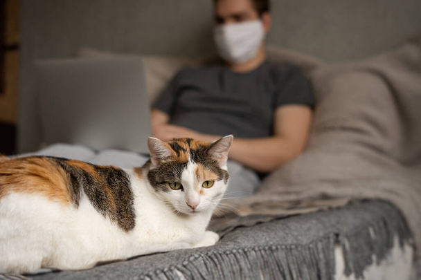 A man is working on a laptop on the bed, and a cat is lying next to him. Remote work. - Foto, Imagen