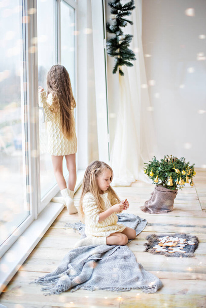 A beautiful girls is drinking Christmas hot chocolate, cocoa at the big window. Two sisters waiting for Santa Claus, a festive miracle. Eats New Year gingerbread men with marshmallows. Copy space card - Φωτογραφία, εικόνα