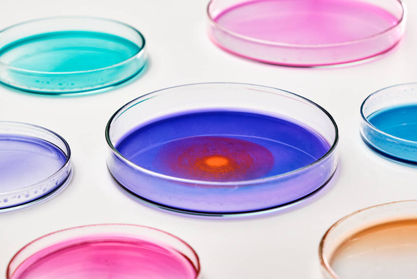 Mikrobiyoloji laboratuvarında medyayla dolu renkli Petri kapları. Farklı sıvılarla yapılan kimyasal araştırmalar. Aşı ve ilaç geliştirme - Fotoğraf, Görsel