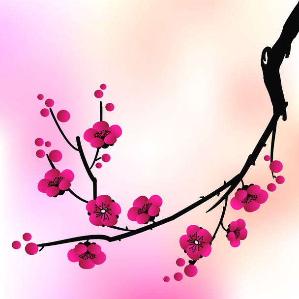 spring sakura blossom vector  background - Vektör, Görsel