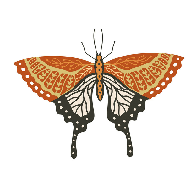Mariposa vector Boho. - Vector, Imagen
