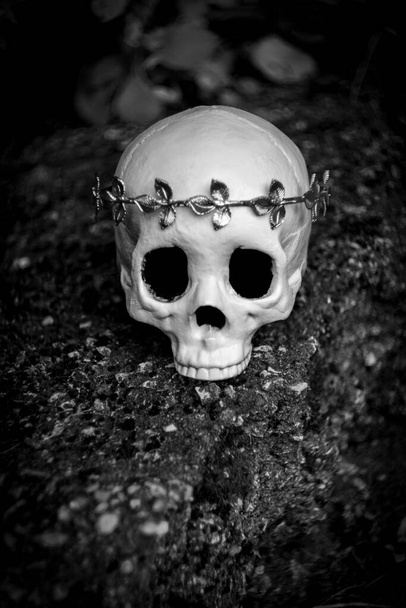 Ludzki szkielet czaszki króla lub królowej w królewskiej złotej koronie liści - Zdjęcie, obraz