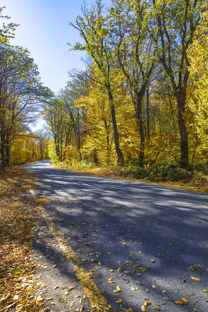 Mountain road through the autumn forest - Photo, Image
