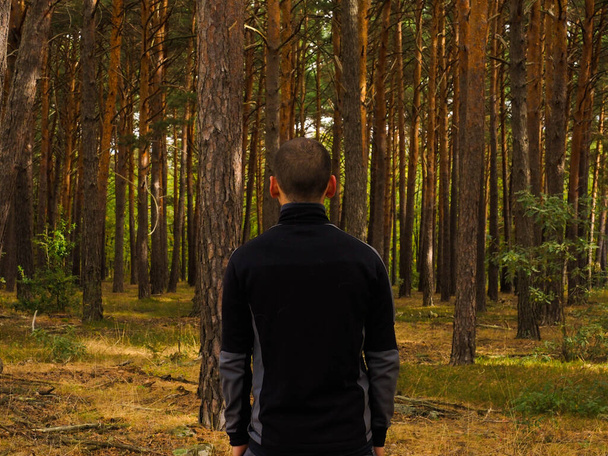 jeune homme méconnaissable dans une forêt de pins - Photo, image