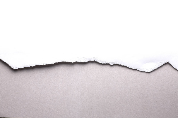Valkoinen revitty paperi harmaalla pohjalla. keräyspaperi repeämä - Valokuva, kuva