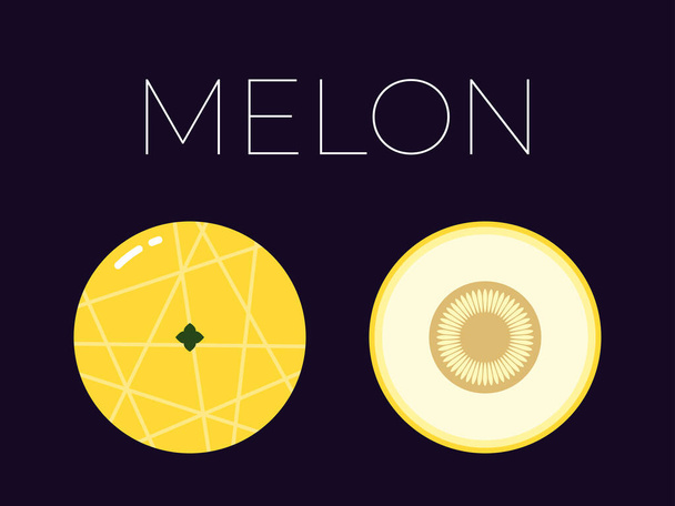 Vector of Melon and sliced half of Melon on dark background - Vetor, Imagem