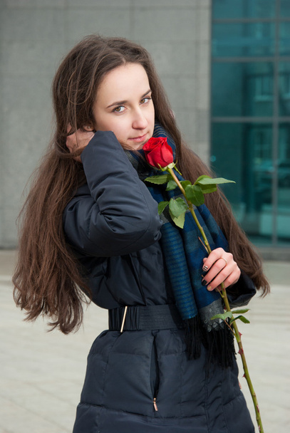 mooi meisje met rode roos in de winter - Foto, afbeelding