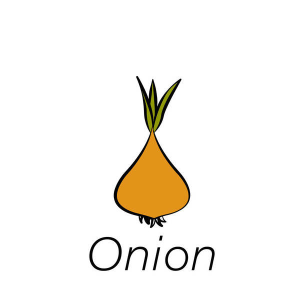 onion hand draw icon. Element of farming illustration icons. Signs and symbols can be used for web, logo, mobile app, UI, UX on white background - Vektor, Bild