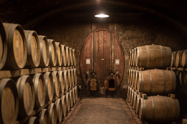 Wooden barrels for wine aging in the cellar - Photo, Image