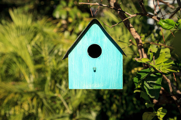 Aqua blue metal birdhouse hangs from a lemon tree in Naples, Florida. - Photo, Image