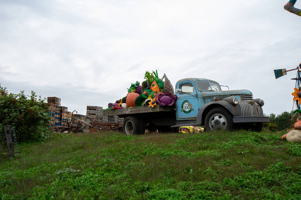 MEDIA, PENNSYLVANIA - 2020. október 11.: A Linvilla Gyümölcsöskert teherautója egy dombtetőn ül bőséges terméssel - Fotó, kép
