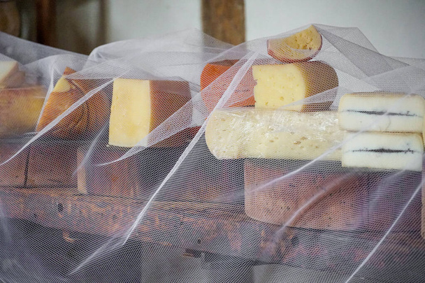 チーズ農場の店で伝統的なチーズの多様性 - 写真・画像