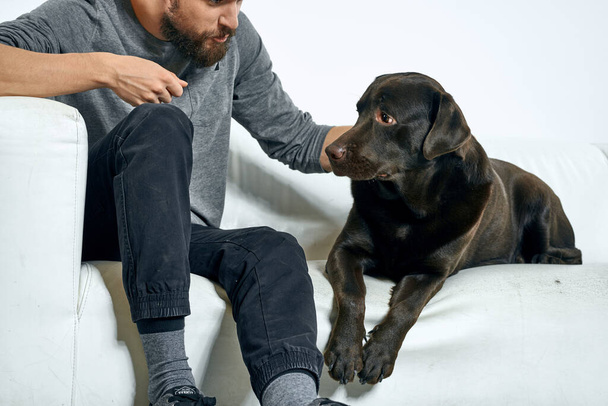 Mann mit schwarzem Hund auf weißem Sofa auf hellem Hintergrund Nahaufnahme zugeschnittene Ansicht Haustier menschlicher Freund Emotionen Spaß - Foto, Bild