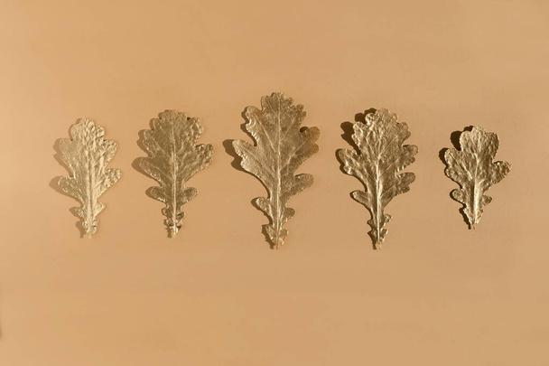 Shiny Golden oak leaves in a row on nude color background. Flat lay, top view minimal autumn composition concept. in a row - Foto, Imagem