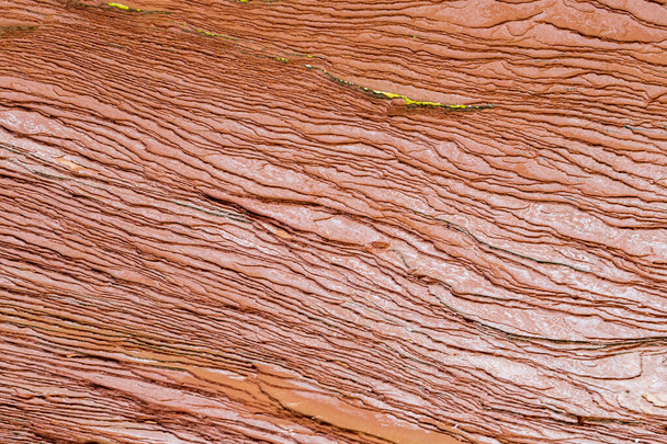 На Кавендиш-Бич, на канадском острове Принца Эдуарда, плоский красный песчаник был выветрен ветрами и океанскими течениями, чтобы показать образец линии из лет эрозии. - Фото, изображение