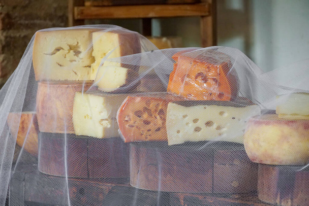 Variété de fromage traditionnel dans une fromagerie - Photo, image