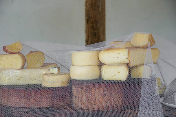 Varietà di formaggio tradizionale in un negozio di formaggi - Foto, immagini