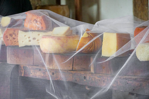 Разнообразие традиционных сыров в сырном магазине - Фото, изображение
