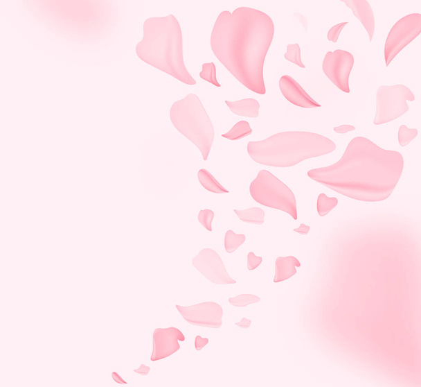 Лепестки падают. Цветочная природа апреля. Весенний цветок и пусть цветы на розовый. Для баннеров, веток цветущей вишни на заднем плане. Мечтательный романтический образ, пейзаж, копировальное пространство. - Вектор,изображение