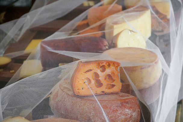 Variety of traditional cheese in a cheese farm store - Photo, Image