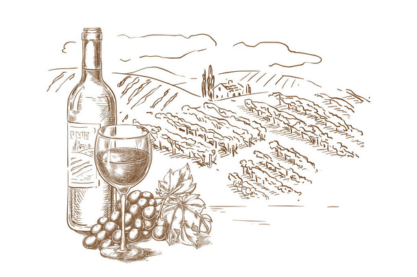 Dibujo del paisaje del viñedo ilustración vectorial. Botella de vino tinto, vasos, vid de uva, elementos de diseño de etiquetas dibujadas a mano. - Vector, imagen