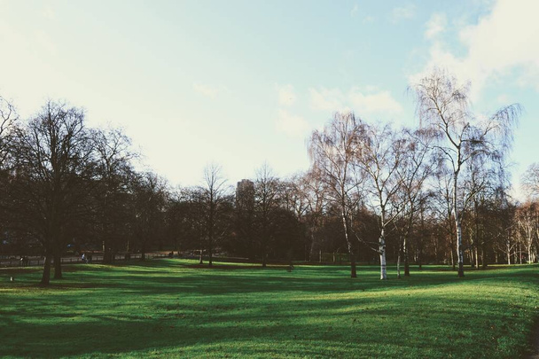 Nádherné parky v Londýně. Regents Park, St. James Park. Zelená a modrá zůstanou spolu na obloze. Během podzimu. - Fotografie, Obrázek