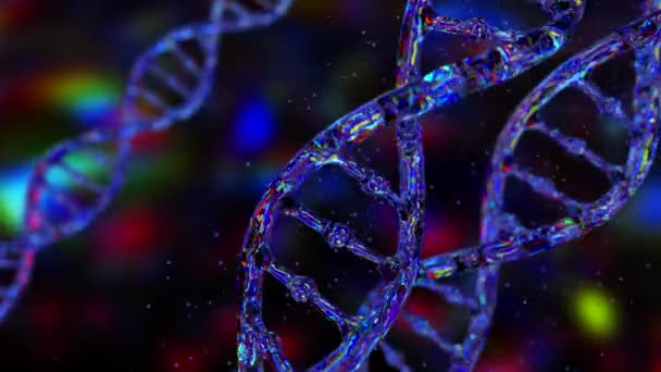 Абстрактна ДНК на темному тлі. Голограма ДНК світиться і морозиться з райдужними кольорами. Наукові та медичні концепції. Безшовна петля 3d рендеринга
 - Кадри, відео
