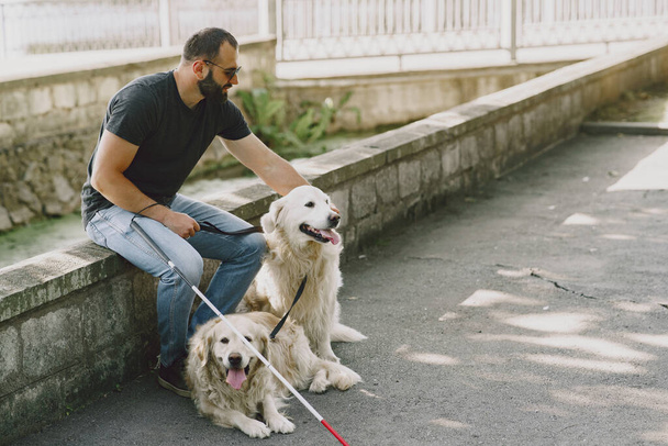 Blind man with guide dog in a summer city - Fotoğraf, Görsel