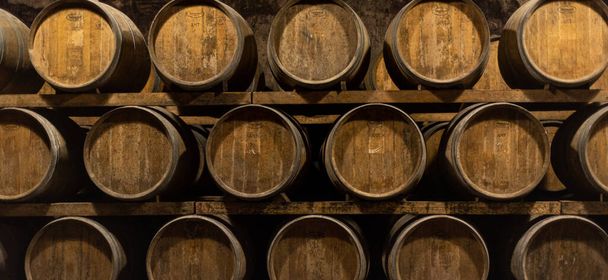 Wooden barrels for wine aging in the cellar - Photo, Image