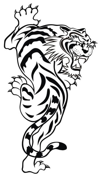 tigre - Vector, imagen