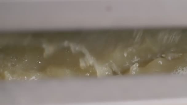 Frisch gepresster Traubensaft fließt aus der Presse. Zeitlupe - Filmmaterial, Video