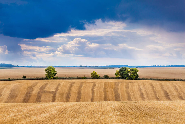 Τοπίο με χωράφι από σιτάρι και σκοτεινό θυελλώδη ουρανό - Φωτογραφία, εικόνα