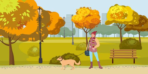 Autumn Park mujer paseos con perro, amarillo naranja árboles de follaje rojo, banco de la pasarela. Estado de ánimo de otoño paisaje urbano al aire libre. Ilustración aislada vectorial - Vector, imagen